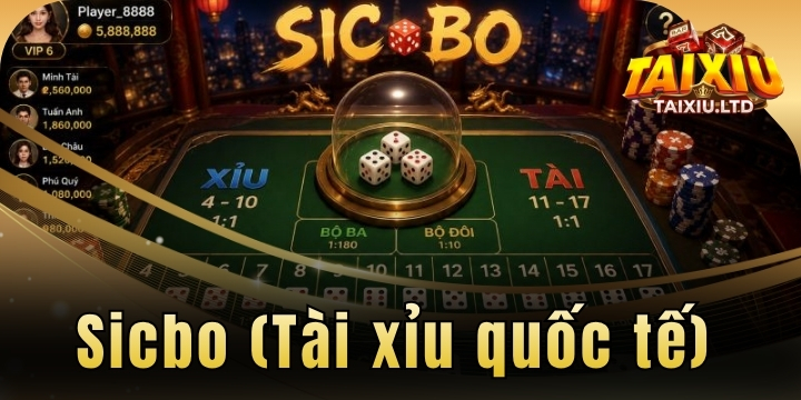 Sicbo (Tài xỉu quốc tế) - Đấu trí cùng những viên xúc xắc sắc màu 13 sicbo tai xiu quoc te 2026 moi nhat