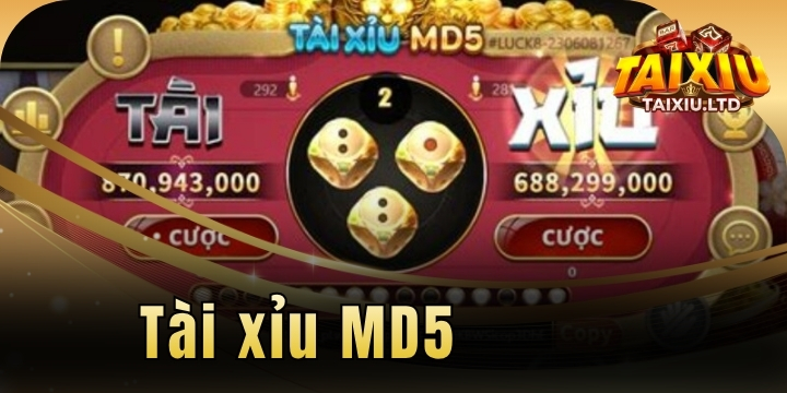 Tài xỉu MD5 - Những chiến thuật chơi hay từ các cao thủ 33 tai xiu MD5 2026 moi nhat